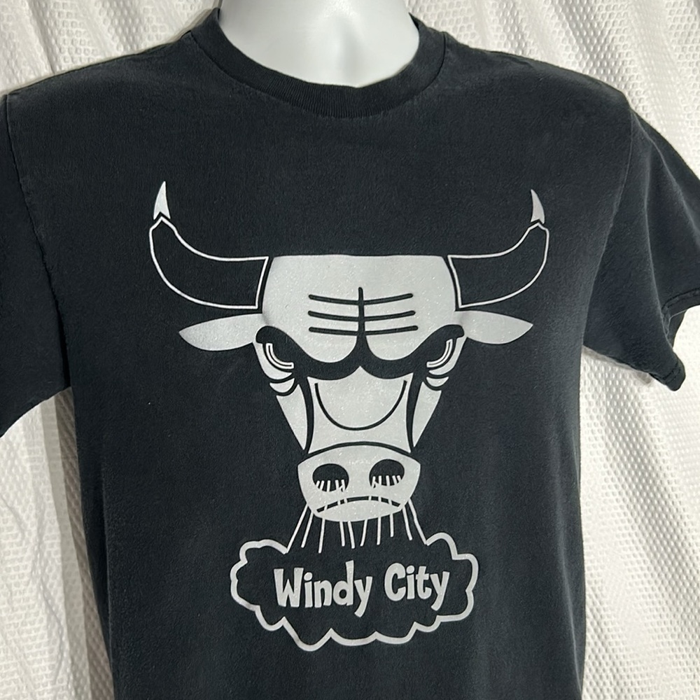 Chicago Bulls NBA Hardwood Classics Tshirt - Picture 2 of 6